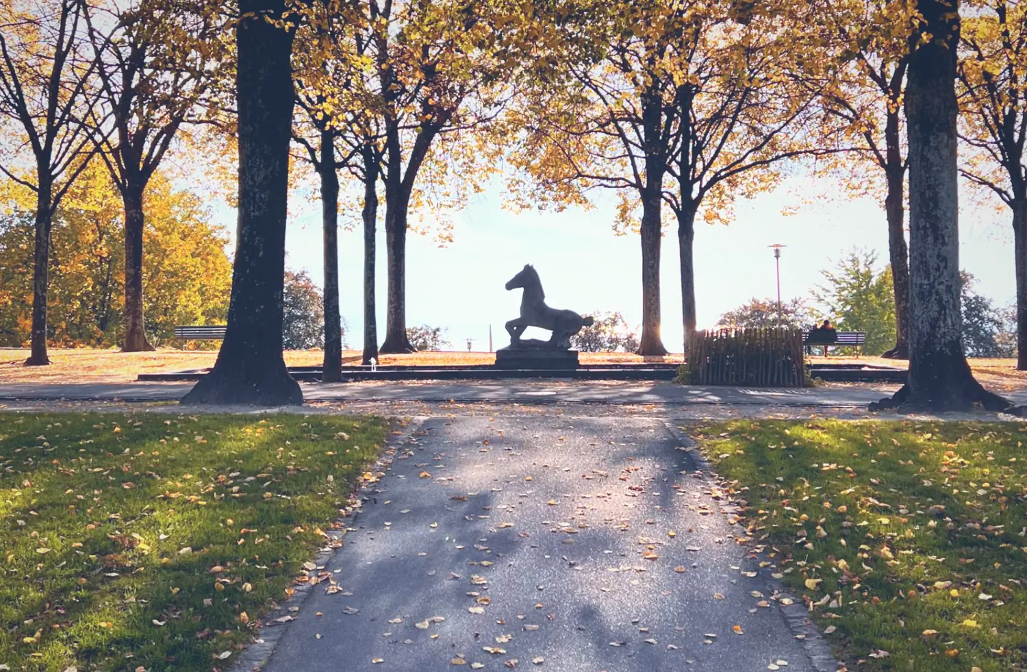 Le cheval du parc de Valency, en automne